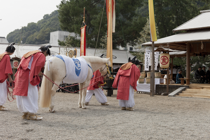 The Steeds of the Gods: The Shinto horses that no mortal may ride ...