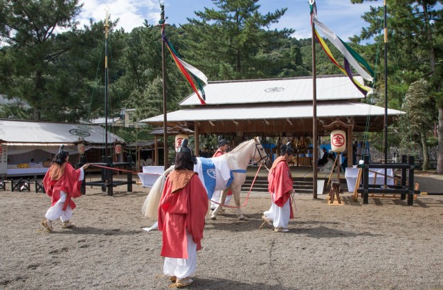 The Steeds of the Gods: The Shinto horses that no mortal may ride