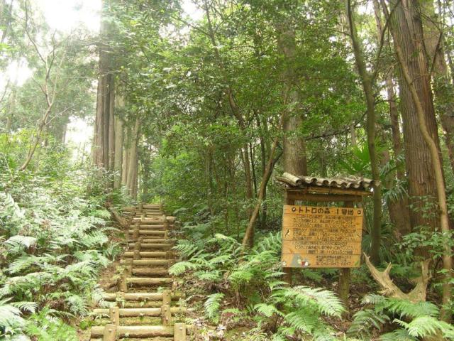 Spring walking event provides guided tour around Totoro forest loved by Hayao Miyazaki