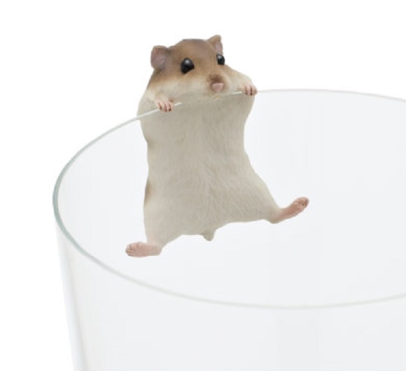 baai Ervaren persoon Reiziger Tiny gachapon hamsters are here to cling to your glass and make your drink  extra cute! | SoraNews24 -Japan News-