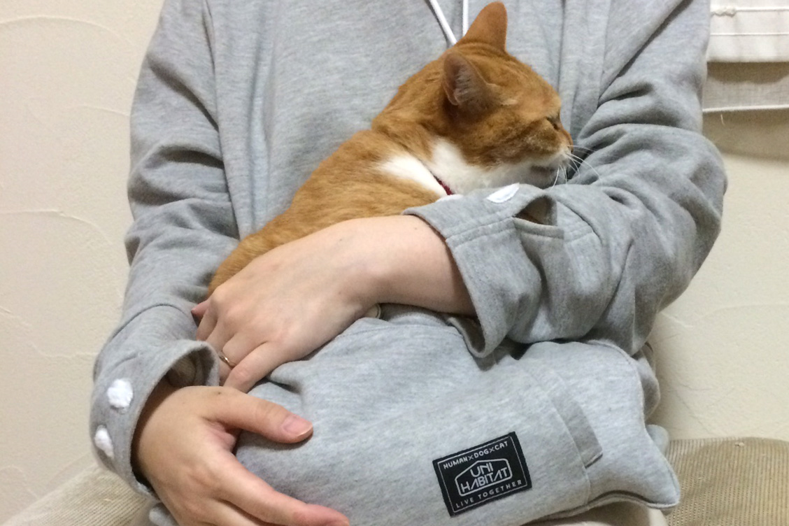 sweatshirt that holds your cat