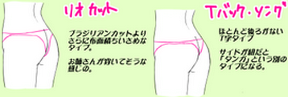 Handy dandy panty infographic assembled in Japan because… why not