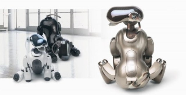We thought robots didn’t die! The demise of the AIBO robot dogs and the fight to keep them alive