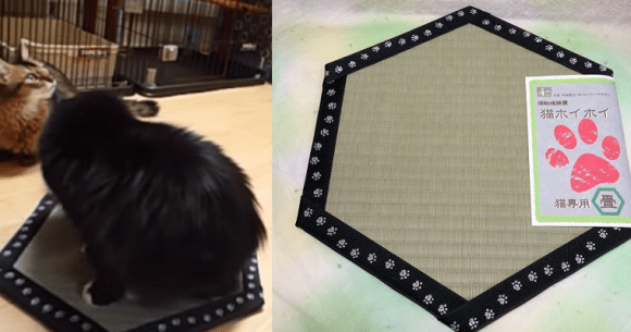 Use This New Japanese Pad To Keep Your Cat In One Spot With The Power Of Magic Circles Soranews24 Japan News