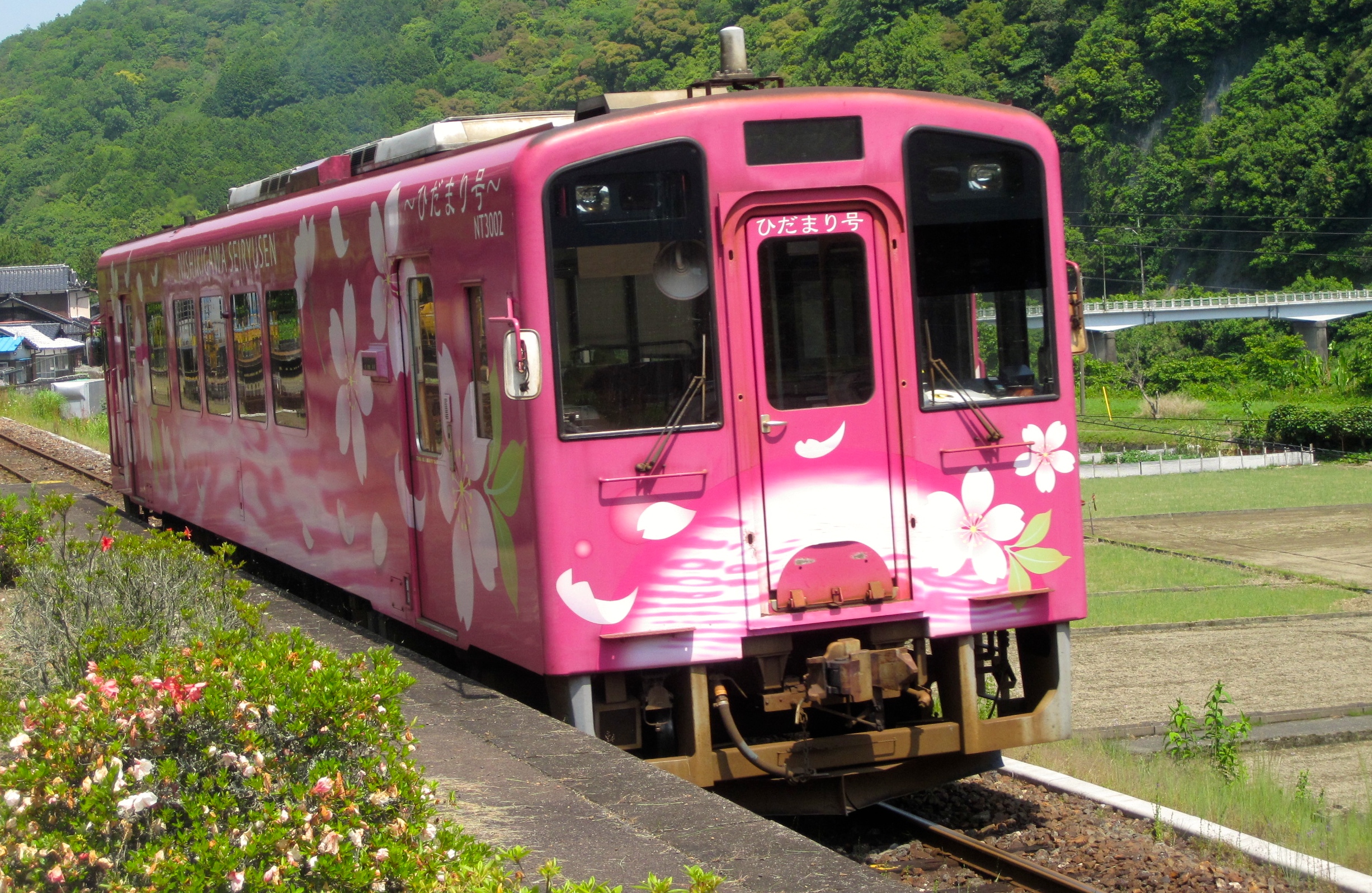 tourist train japan