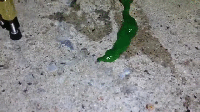 Someone in Taiwan has just discovered an alien-like worm that we’re pretty sure is Flubber【Video】