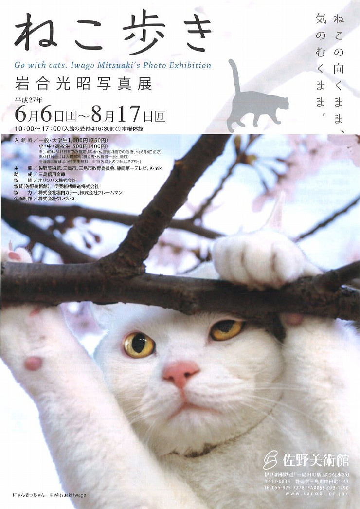 Famous Japanese wildlife photographer charms cats across the world