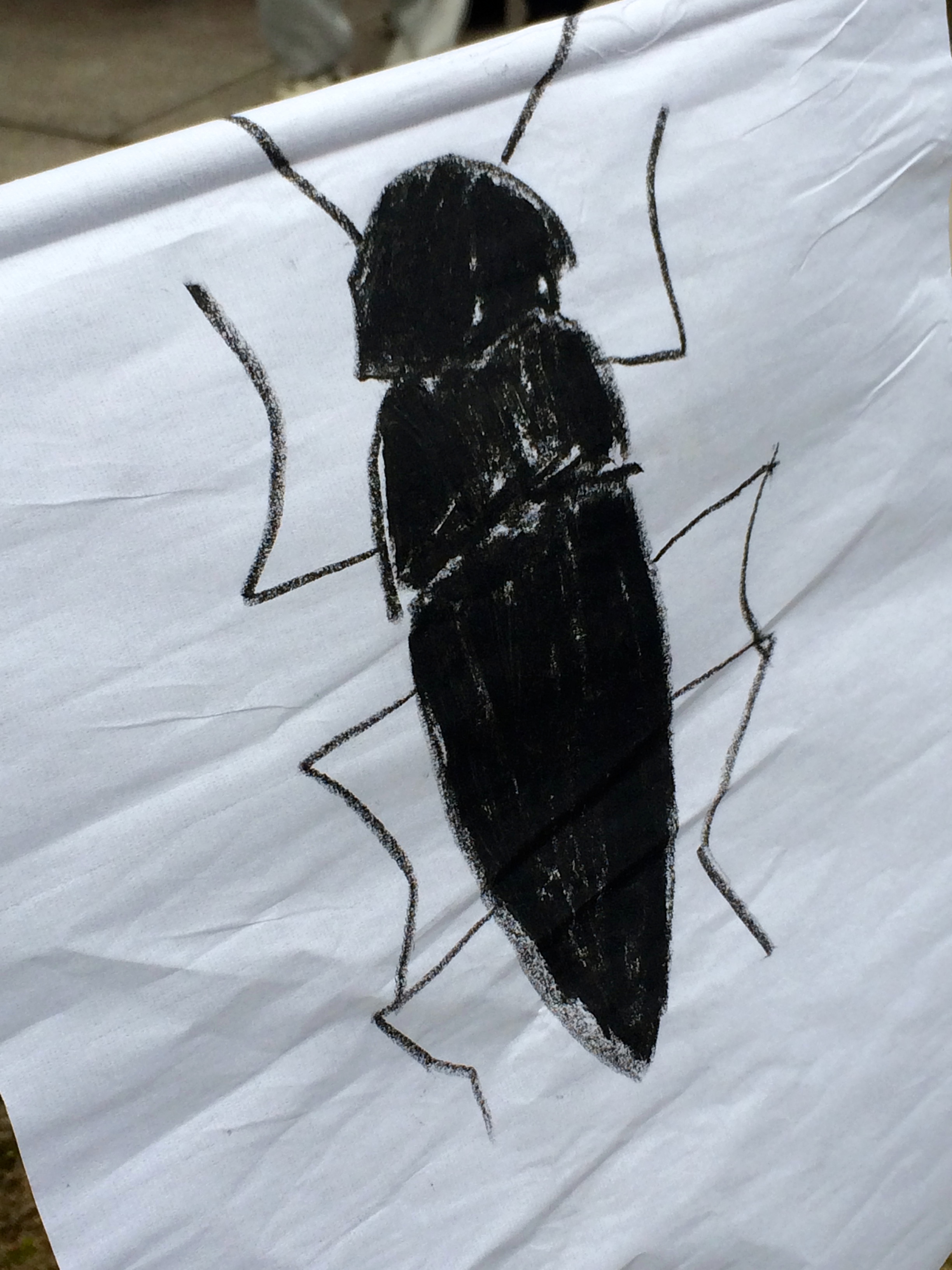 Better than mosquito repellent The most ecofriendly (and spiritual