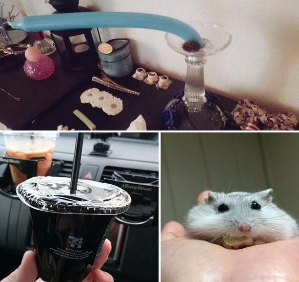 Chocolate, candlesticks, hamsters… everything is melting in Japan’s heat wave! 【Photos】