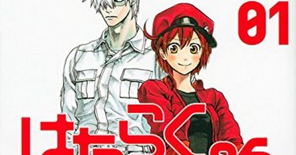 Hataraku saibou BLACK 7 Japanese comic manga anime Cells at Work! Akane  Shimizu