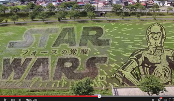 Star Wars rice paddy art grows in Aomori Prefecture