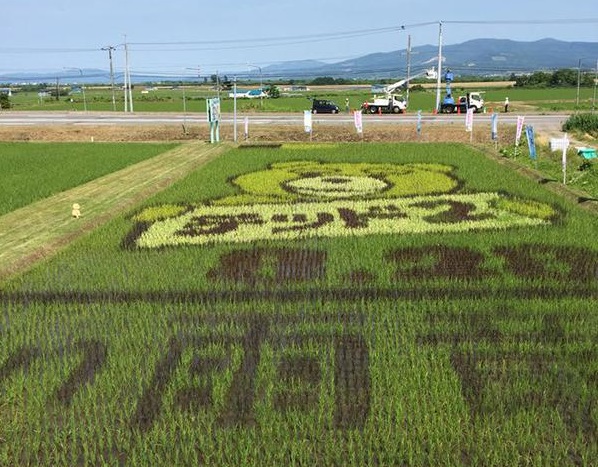 Rice field art: Star of Ted 2 appears in Japanese rice field this summer
