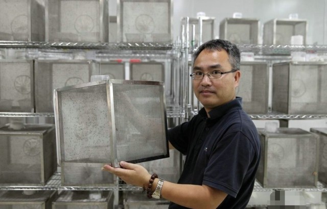 Great job: China’s “mosquito factory” churning out a stellar one million bugs per week!