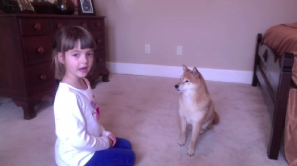 Little girl's instructional video of how to train your Shiba Inu is as cute  as it is informative【Video】 | SoraNews24 -Japan News-
