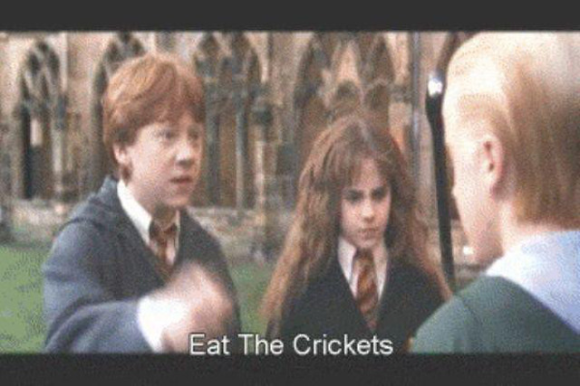 Harry Potter and the F****ing Pigeons – Chinese bootleg's subtitles are  full of melons 【Pics】 | SoraNews24 -Japan News-