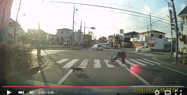 Why did the cat cross the road? To help an old lady out! 【Video】