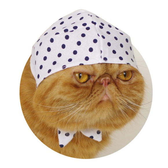 Now you can buy badass bandanas for your cat…from a vending machine