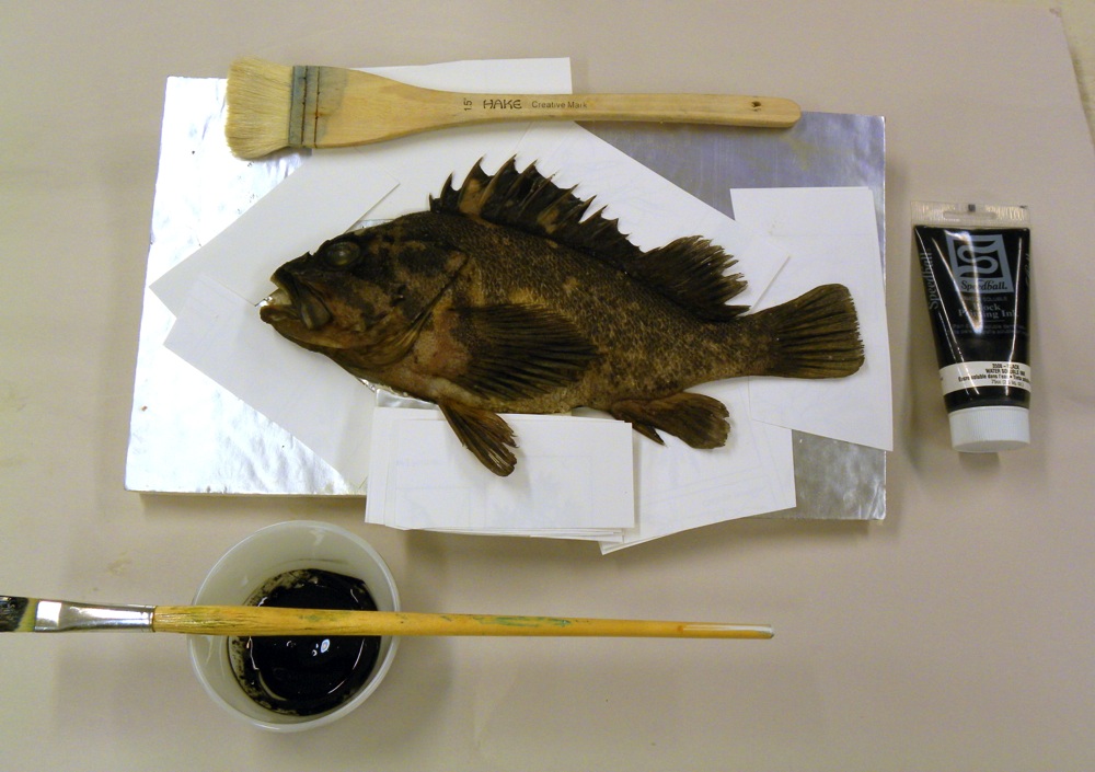 The surprising and littleknown Japanese art of gyotaku culinary