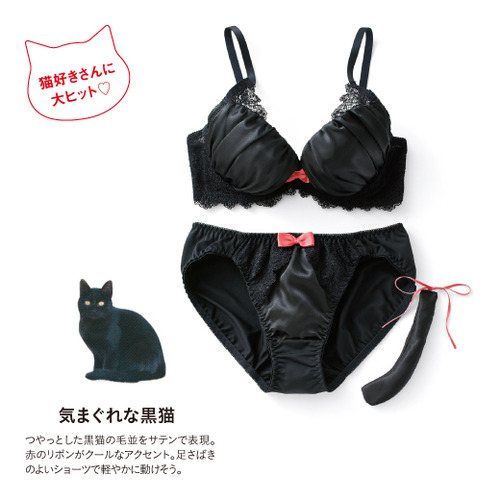 Cute Cat Lingerie Sets Let You Play Out All Your Feline Fantasies Soranews24 Japan News