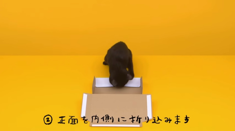 We can't stop watching this cute cat put together a packing box