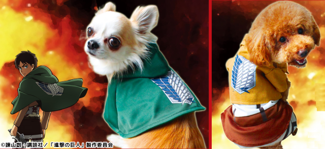 Cosplay for pets! Dog fashion retailer selling Attack on Titan capes, uniforms