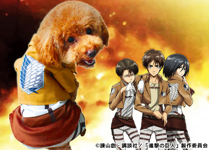 attack on titan dog toy