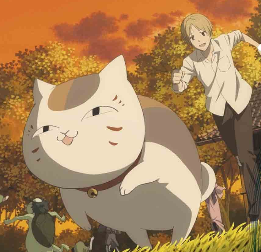 10 FanFavorite Anime Cats