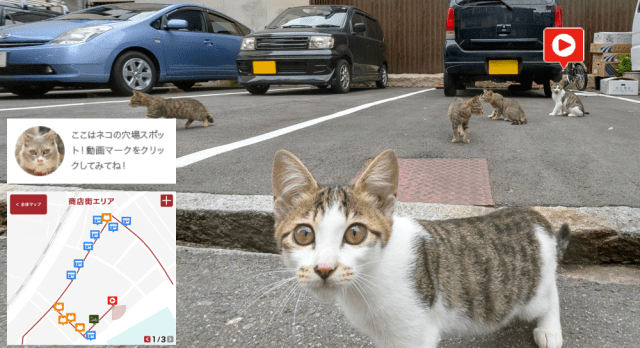 Japanese town’s Cat Street View lets you virtually tour its backstreets, meet feline residents