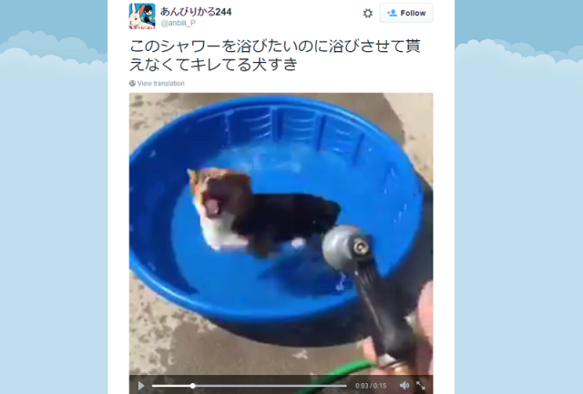 【Monday Kickstart】Adorable dog’s frustrated attempts to get a shower are too cute to ignore!