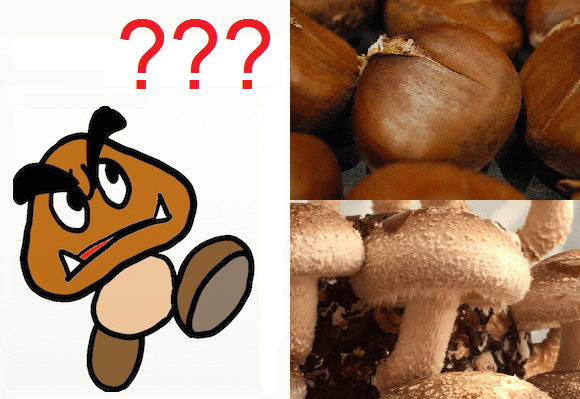 Japanese gamers’ heads explode as they learn Super Mario’s Goombas are mushrooms, not chestnuts