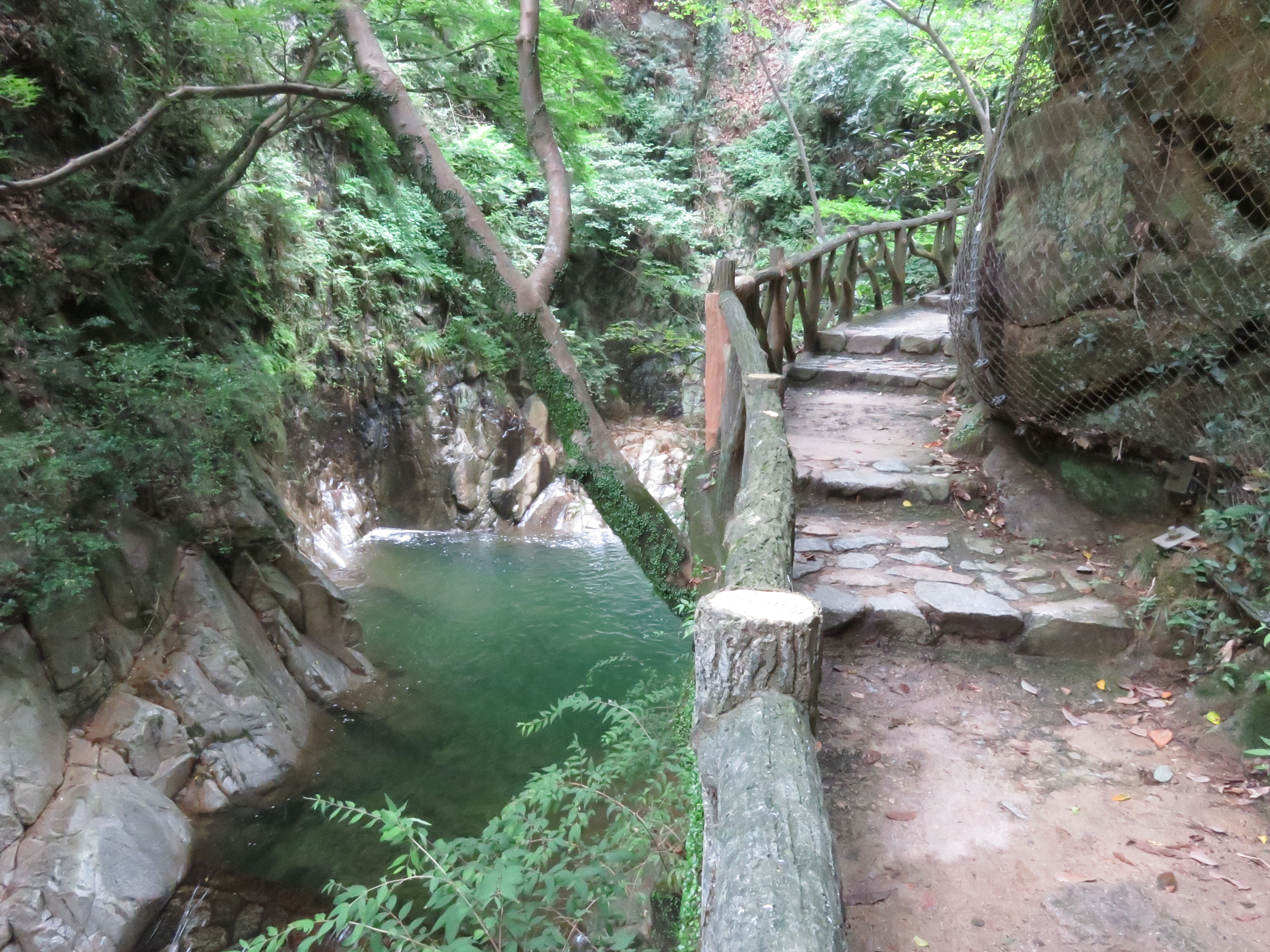 Five nature hikes and trail runs just off Japan's bullet train