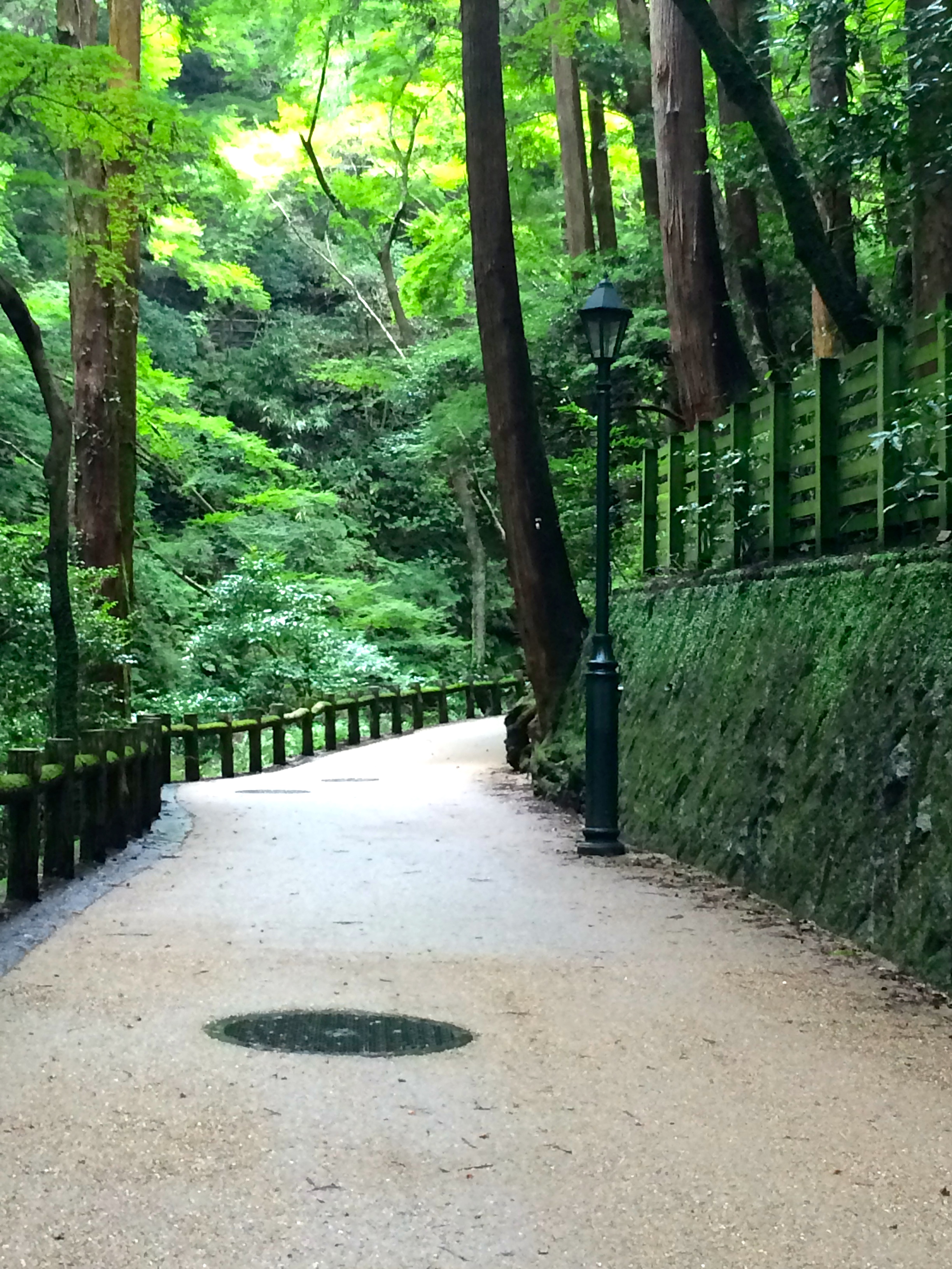 Five nature hikes and trail runs just off Japan's bullet train