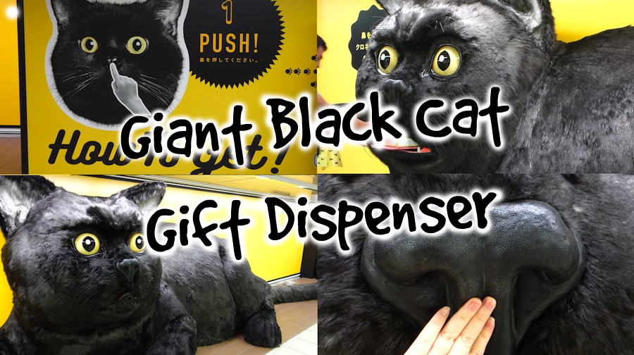 giant black cat