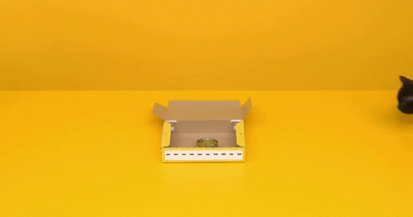クロネコさん専用 We can't stop watching this cute cat put together a packing box