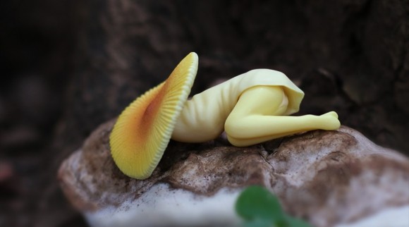 Oddly alluring poison mushroom figures with stomach cramps warn us to be careful of what we eat
