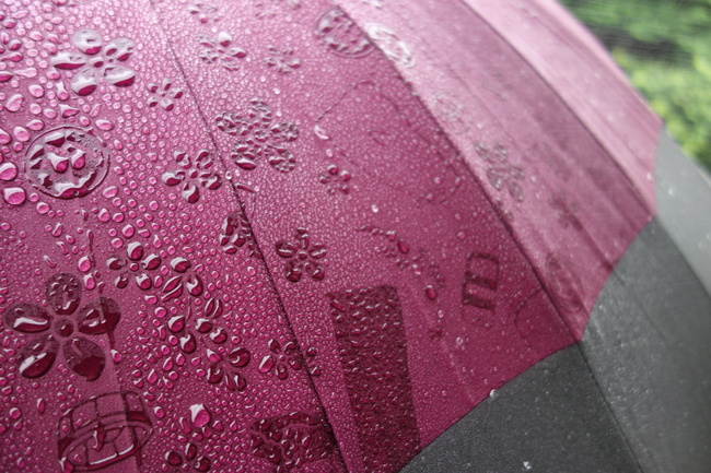 Japan’s magic umbrellas reveal cute patterns in the rain | SoraNews24 ...