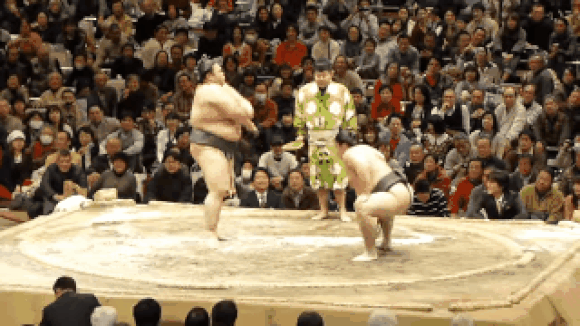 Join the hordes of net users giggling at GIFs of sumo wrestlers performing ...