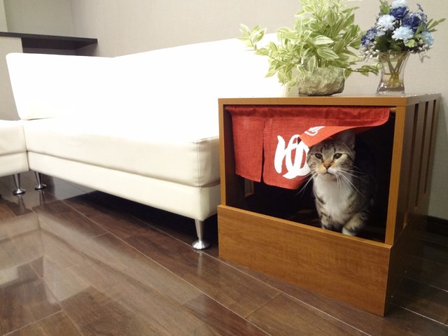 Turn your cat’s toilet trips into day-spa visits with this adorable “onsen” litter box