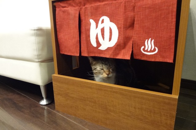 Turn your cat’s toilet trips into day-spa visits with this adorable ...