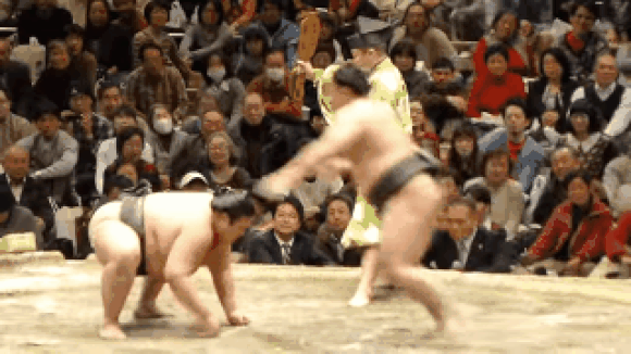Join the hordes of net users giggling at GIFs of sumo wrestlers performing comedic moves【Videos】