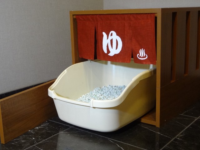 litter box in bathtub