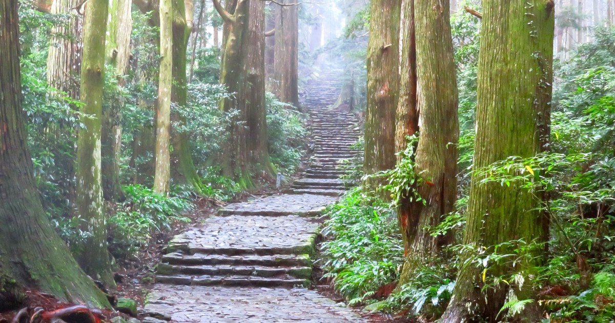 All about the Kumano Kodo, the World Heritage Sites of the Kii ...