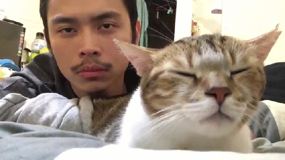 Asian_Mike_Lavin_And_His_Cat_HD