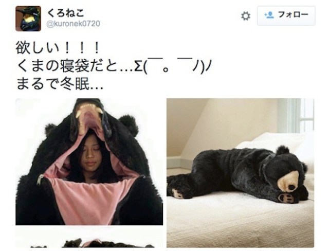 A $2,350 sleeping bag/bear? Japanese artist’s wild creation hits Japanese Twitter with a roar!