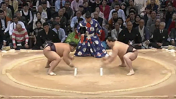 The deceiving cat: Sumo wrestler wins match using “cute” technique, but some are not happy【Video】