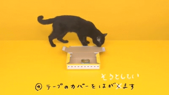 Never work with animals: Outtakes from Japanese delivery company’s adorable black cat ad【Video】