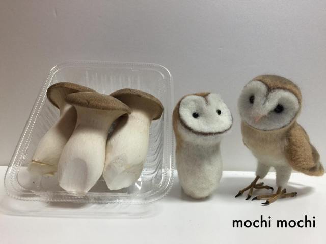 What is this adorable owl doll made of—mushrooms or wool? The Internet isn’t sure!
