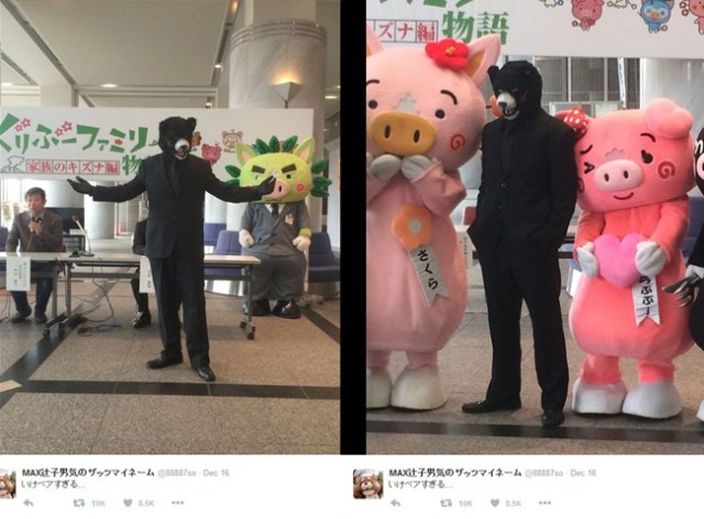 Hide your daughters! Kagoshima’s suave new bear mascot is winning hearts all over