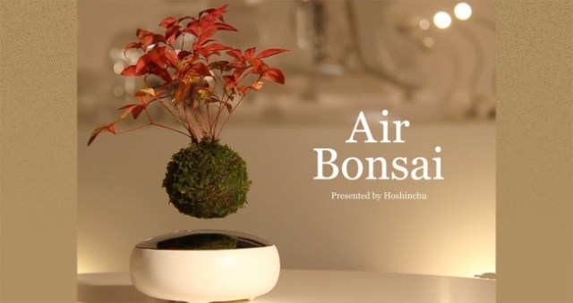 Japanese company develops unique “Air Bonsai” that floats and rotates in mid-air【Video】