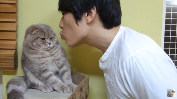 cat kissing 3
